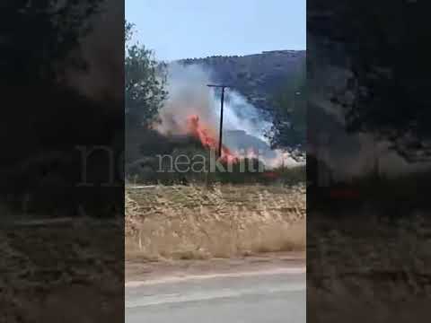 Φωτιά στην περιοχή Πλατιά Όψη Μακρυλιάς στην Ιεράπετρα