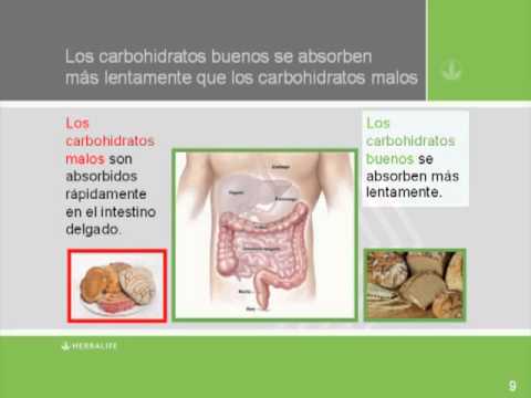 Carbohidratos buenos o malos