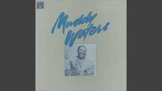 short dress woman muddy waters Muddy Waters