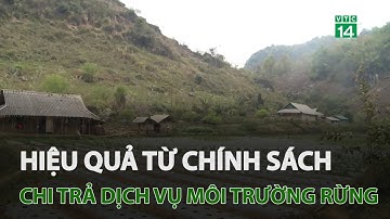 Hiệu quả từ chính sách chi trả dịch vụ môi trường rừng | VTC14