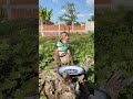 Great tasty fruits for baby Bryan