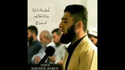 القارئ هلويست نصر الدين الكردي قرائة جميلة