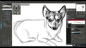 Sketches : Tifa Corgi : 002 [Open Canvas]