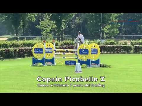 Copain Picobello Z Copain Picobello Z
