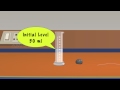 Density Determination Quiz