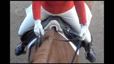 Direct Leading Rein Aids