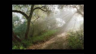 Antonio Vivaldi Otoño Autumn 1er Allegro @ClassicsMusicYotuve