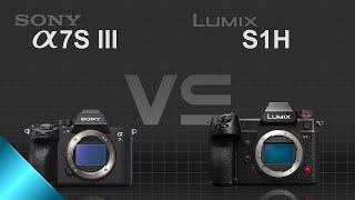Sony alpha a7S III vs Panasonic Lumix S1H