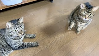 福助兄さんラスト The distance between Ten-chan and Fuku-chan - YouTube