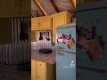 1 year in our yurt here is an interior update
