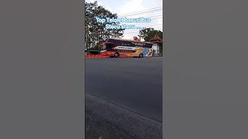 Top Skill Driver Bus #Shorts #Telolet #Top #Basuri #Bus #Skilldriver #TrendingShorts #viralshorts