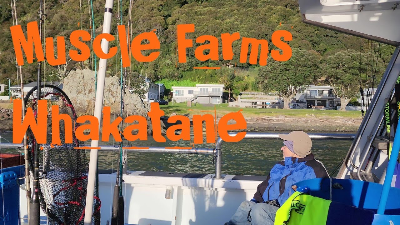 Rotorua Angler's fishing the Mussel Farms in Whakatane New Zealand 🇳🇿 