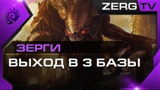 ★ [ ГАЙД ] по ЗЕРГАМ | Старкрафт 2 от ZERGTV ★