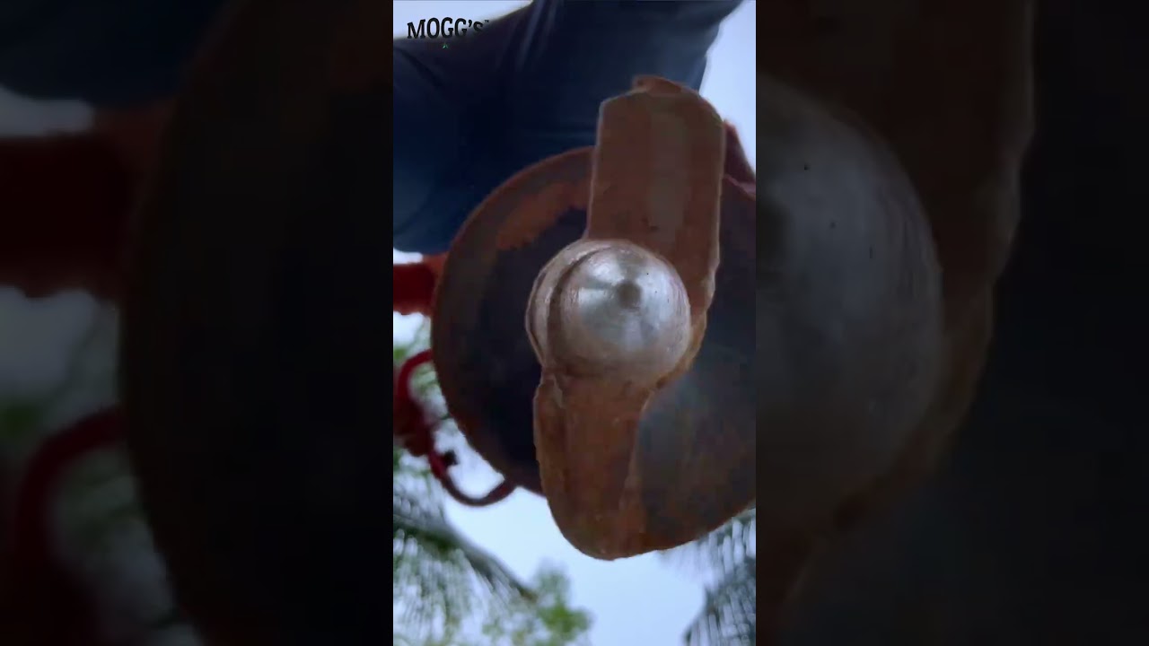 Aira Farms - Development