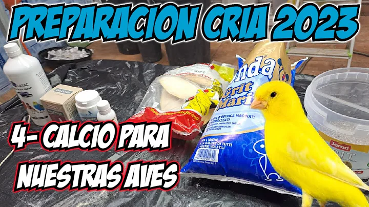 CRIA 2022;