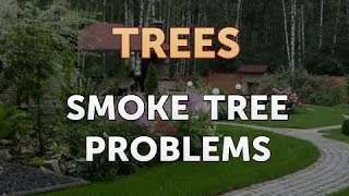 Smoke Tree Problems