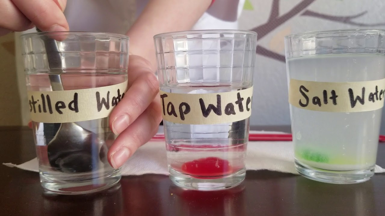 Gummy Bear Osmosis Lab - YouTube