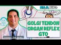 Neurology | Spinal Cord: Golgi Tendon Organ Reflex (GTO)