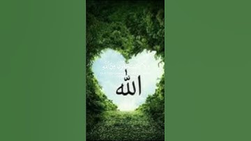 القرآن الكريم #المصحف #الرحمن #beautiful #nature