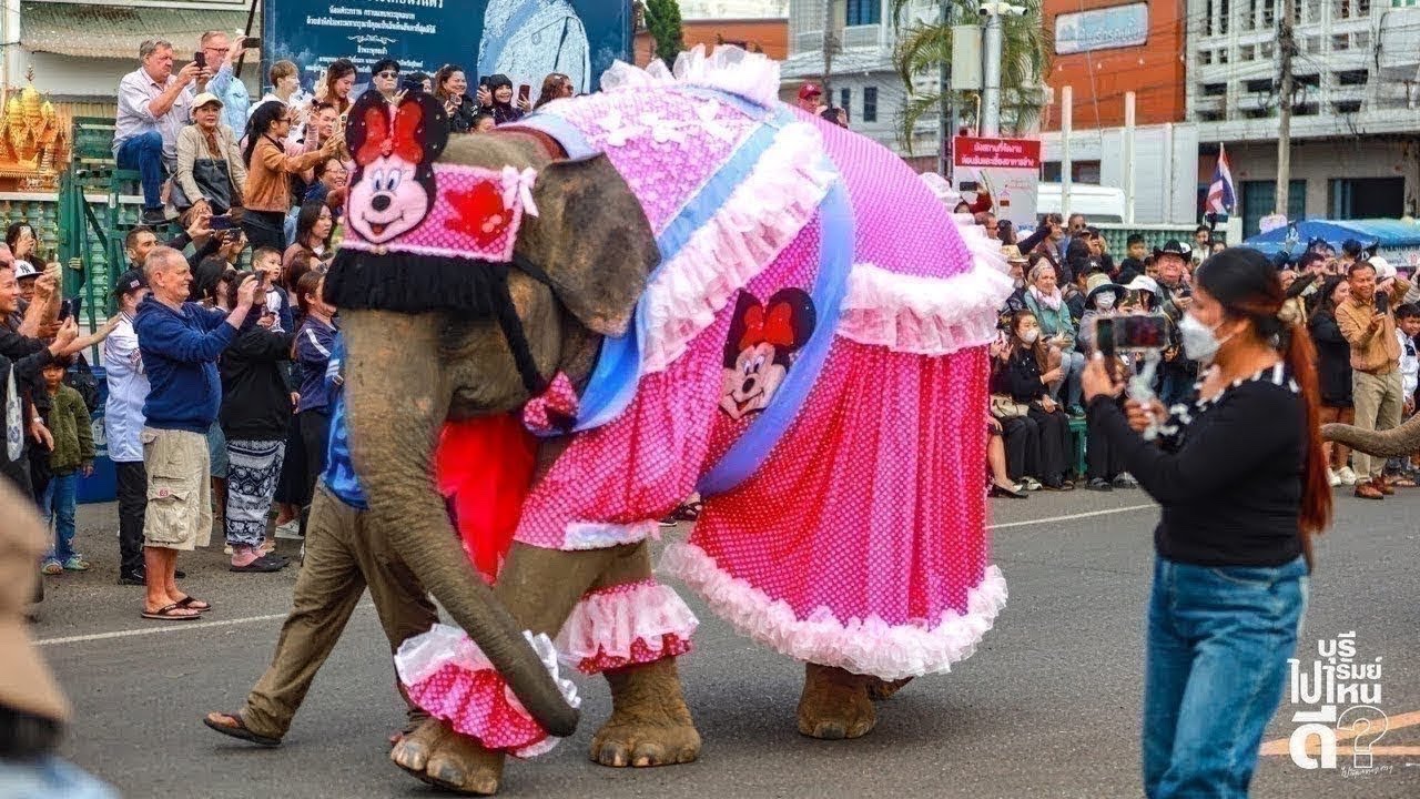 live เด็กน้อยหิวข้าวโพดต้มจนน้ำลายไหลแล้วจ้ะแม่