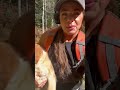 Puppy for cardio