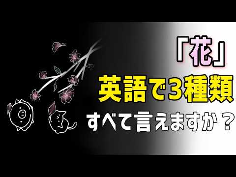 ごく普通の外国人・がっちゃん - YouTube