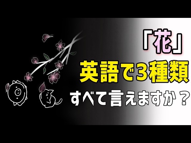 7分ノーカットで「韓国で一番長い、桜のトンネル」お見せします。