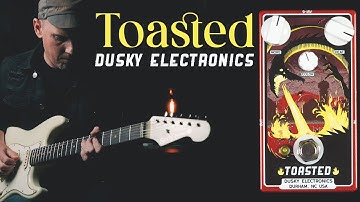 Demos in the Dark // Dusky Electronics Toasted // Guitar Pedal Demo
