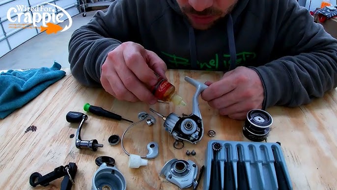 HOW TO OIL A SPINNING REEL - Basic Fishing Reel Maintenance 