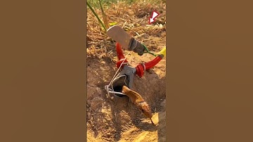 Anaconda Snake Attack 3 P7 #shorts #snake #python #snakes #nagin #anaconda #bigsnake #anacondasnake