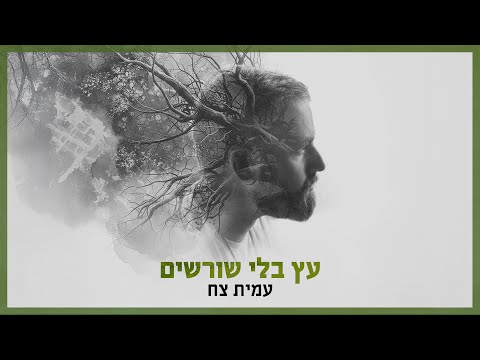 עמית צח עץ בלי שורשים הקליפ הרשמי 