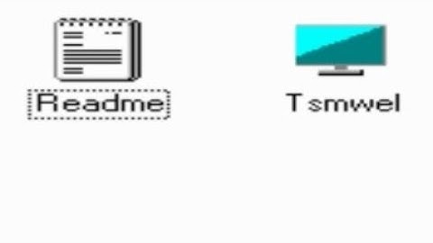 virus.win32.tsmwel (Windows XP Destructive)