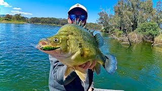 Murray River Yellowbelly Fishing | Crazy Boatside Bites