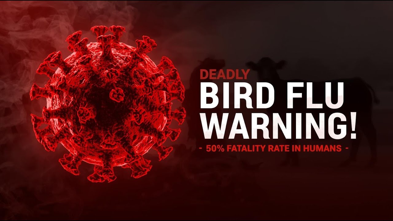 H5N1 Bird Flu Explained in 60 Seconds | Deadly Virus Jumping to Mammals ...
