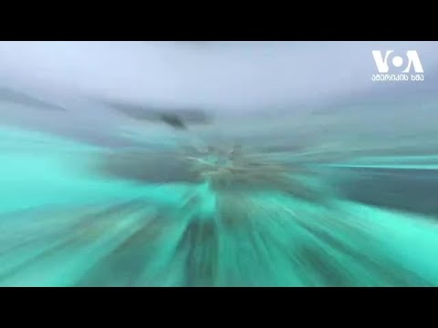 ვიდეო: კარიბის ზღვის აეროპორტების გზამკვლევი