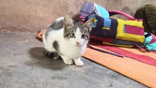 Vlog amazighi hor