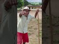 Martins está a procura de uma companheira de 55 a 60 anos. lagoa do canto, P. dos índios Alagoas