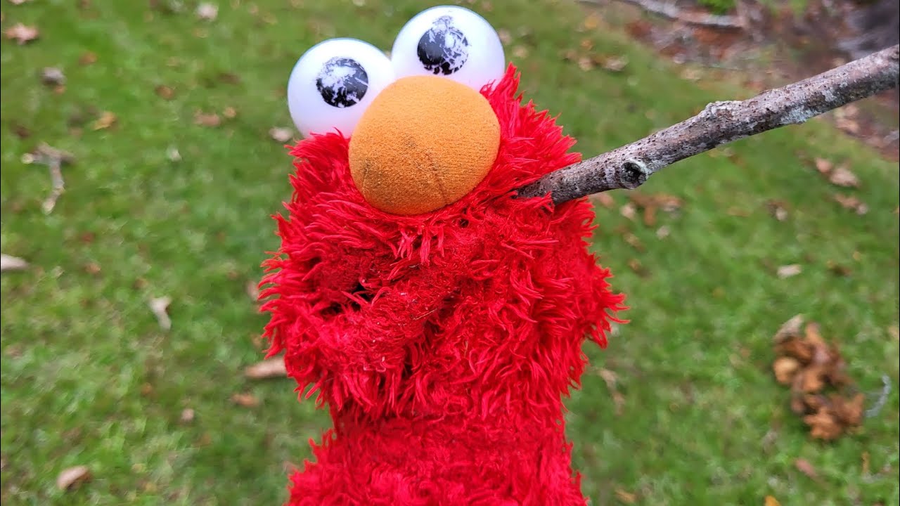 Heather Ham: Elmo Didn't Like Little Tree - YouTube