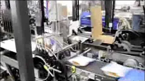 Massman Automation Wraparound Case Packer for Flexible Pouches.mov