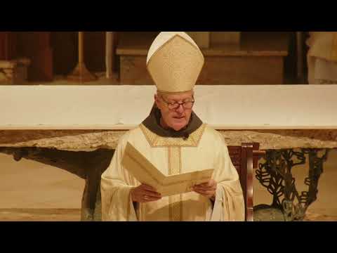 ‘Un día de gran alegría para la Iglesia’: Homilía del obispo Martin en la ordenación 2026