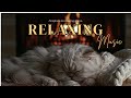 Sleep Instantly with Fireplace Sounds &amp; Calm Piano | Insomnia Relief