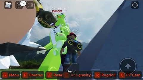 Ragdoll testing(read description)