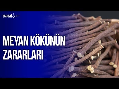 Video: Soluk çiçekli Meyan Kökü