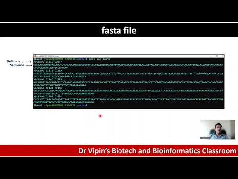 fastq file format