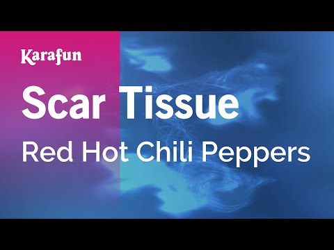 Scar Tissue - Red Hot Chili Peppers | Karaoke Version | KaraFun