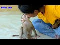 Very Funny!! Mom Kiss Baby Monkey Luna Sitting Sleep