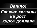 Важно! Свежие сигналы на рост курса доллара!