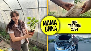 VLOG: НОВЫЕ сорта ТОМАТОВ🍅 / РАЗДАЮ рассаду🌿 / СЛОМАЛА машину😃 /Мама Вика❤️