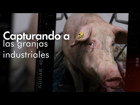 Fotoperiodismo Animal con Aitor Garmendia, Andrew Skowron y Timo Stammberger