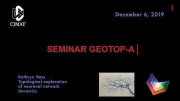 GEOTOP A Kathryn Hess, Topological exploration of neuronal network dynamics